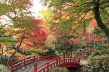熱海梅園