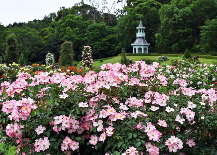 河津バガテル公園
