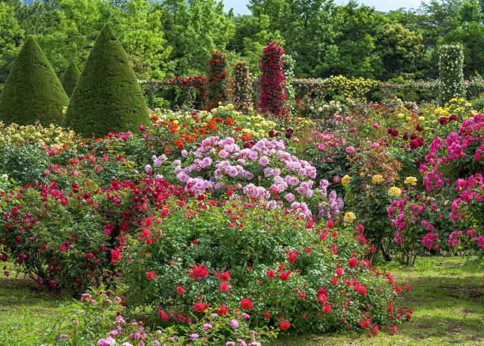 河津バガテル公園