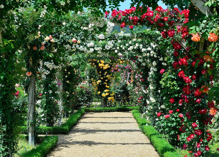 河津バガテル公園