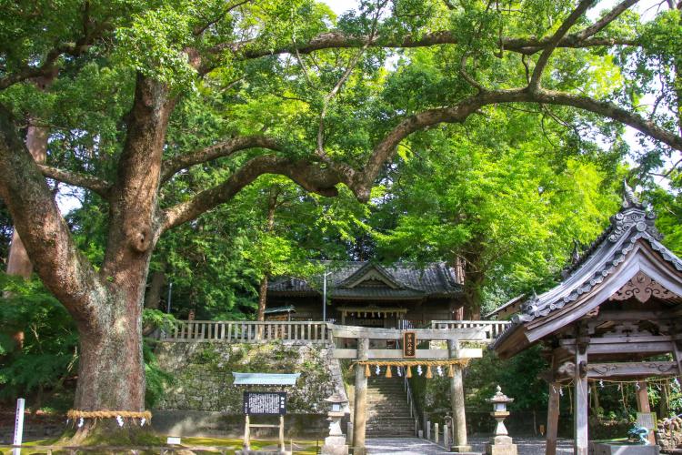 事任八幡宮