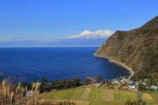井田海水浴場