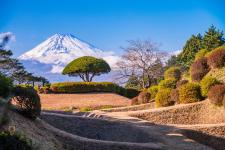 山中城