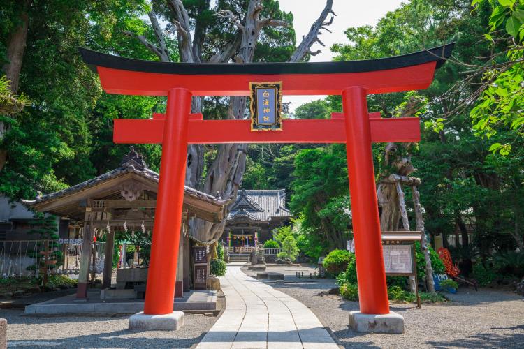 白浜神社(伊古奈比咩命神社) ドライブコンサルタント