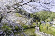 奥山公園