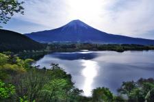 たぬき展望台（富士山）