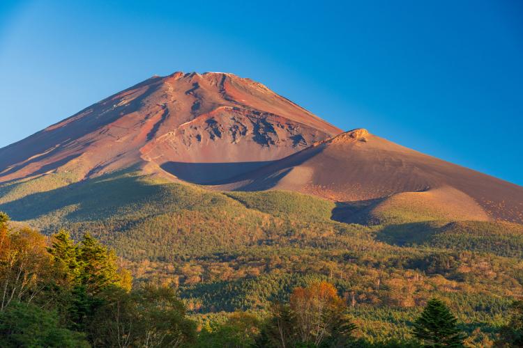 水ヶ塚公園(富士山)