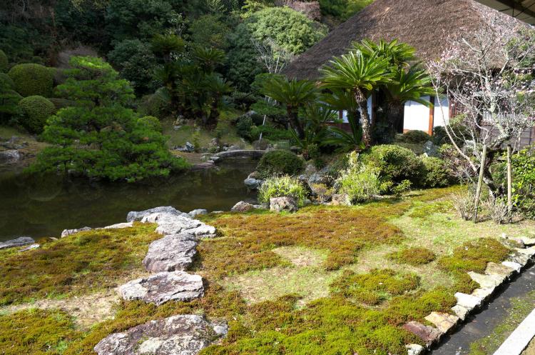 本興寺 ドライブコンサルタント