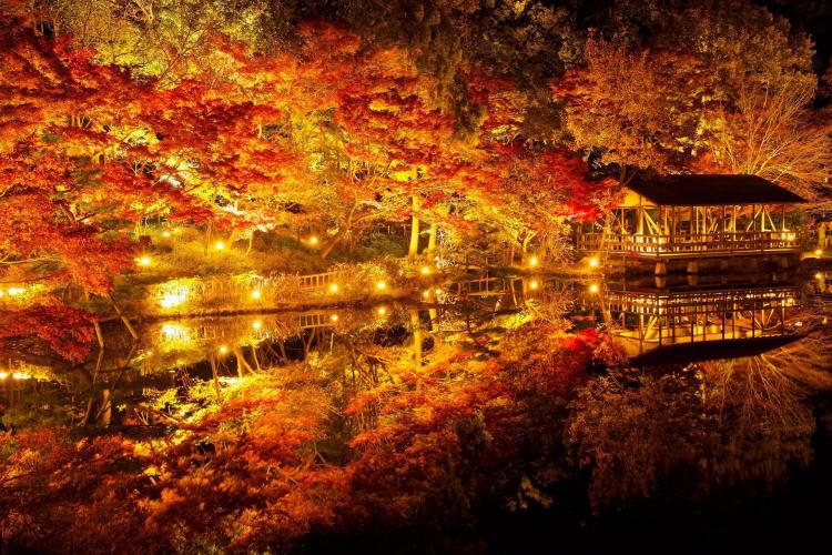 東山動植物園(東山公園・東山スカイタワー)