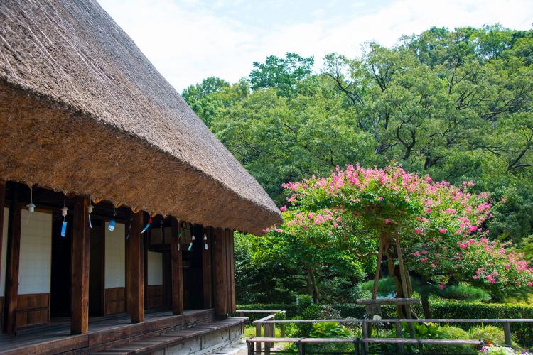 東山動植物園(東山公園・東山スカイタワー)