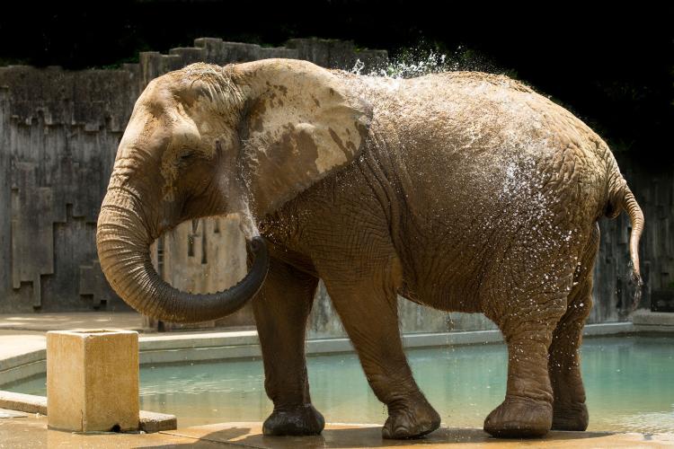 東山動植物園(東山公園・東山スカイタワー)