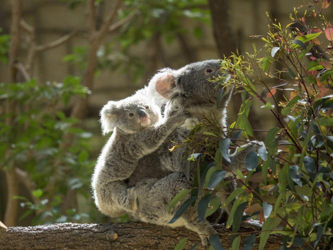 東山動植物園(東山公園・東山スカイタワー)