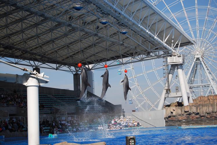 名古屋港水族館