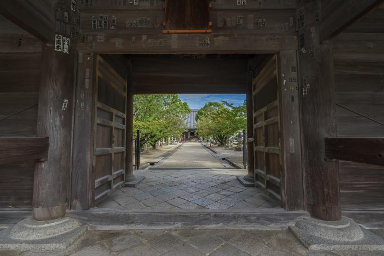 大樹寺