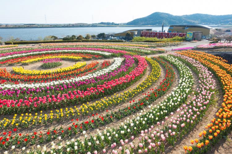芦ヶ池農業公園「サンテパルクたはら」