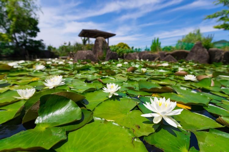 芦ヶ池農業公園「サンテパルクたはら」