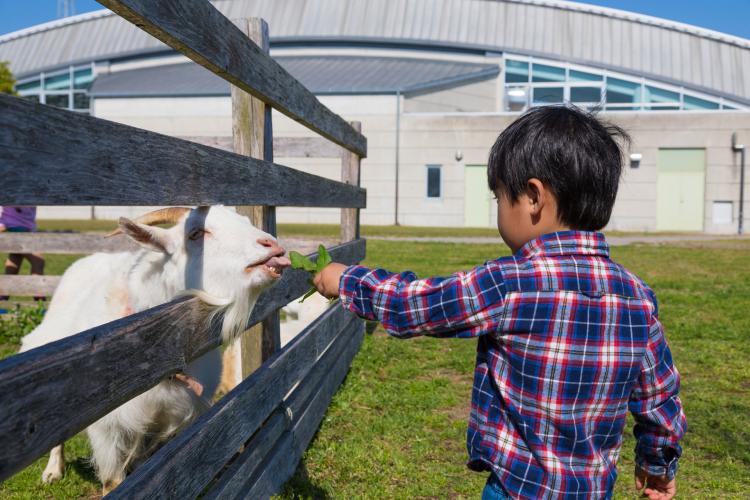 芦ヶ池農業公園「サンテパルクたはら」