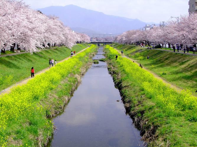 佐奈川堤 ドライブコンサルタント