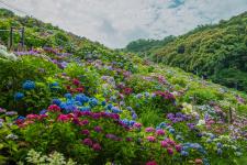 形原温泉あじさいの里