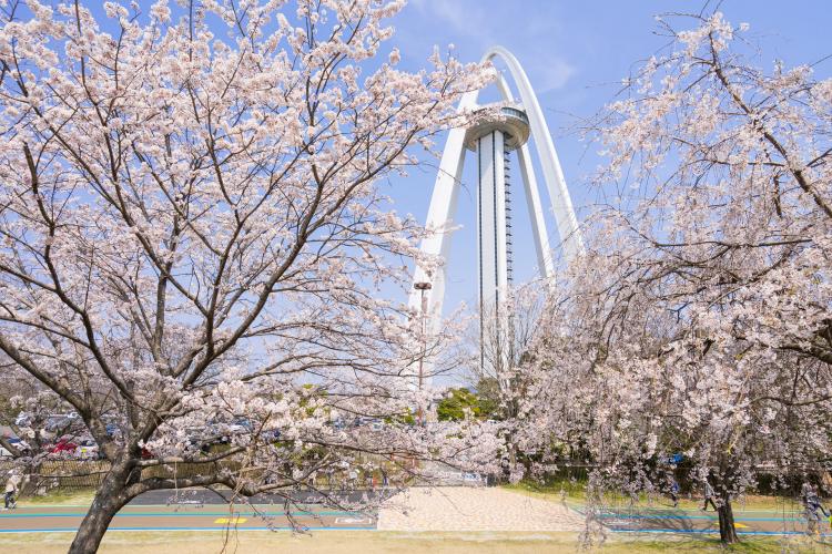 138タワーパーク 国営木曽三川公園 ドライブコンサルタント 138タワーパーク 国営木曽三川公園 ドライブコンサルタント