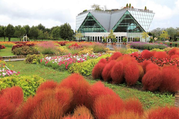 フラワーパーク江南(国営木曽三川公園)