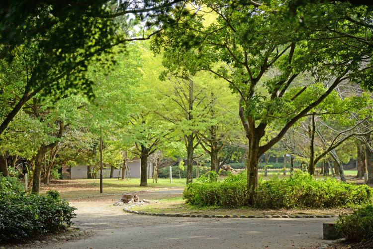 豊橋公園(吉田城跡)