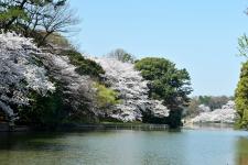 大池公園