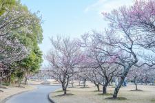 向山緑地