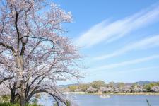 向山緑地