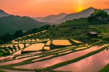 丸山千枚田
