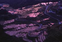 丸山千枚田