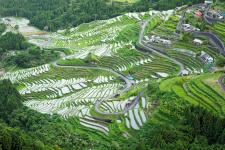 丸山千枚田