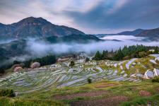 丸山千枚田