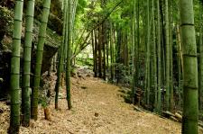熊野古道（伊勢路）