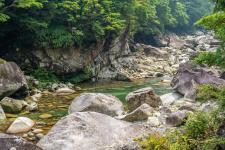 魚飛渓