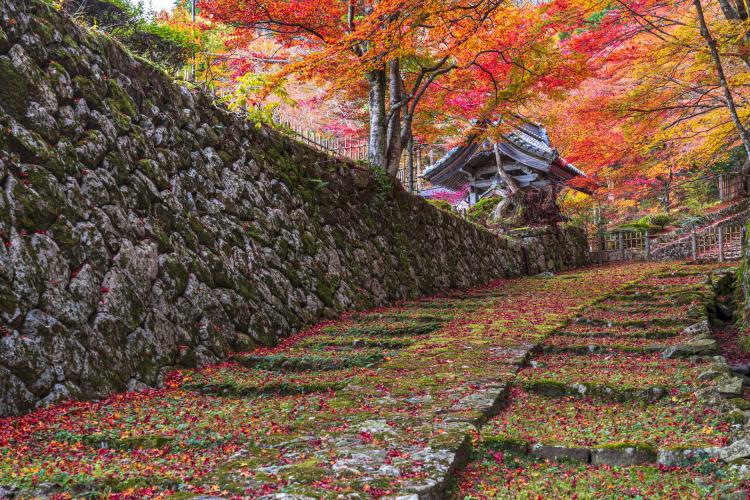 釈迦山 百済寺(湖東三山)