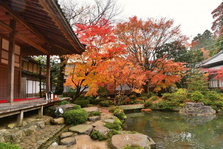 釈迦山 百済寺(湖東三山)