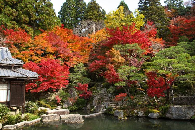 釈迦山 百済寺（湖東三山）