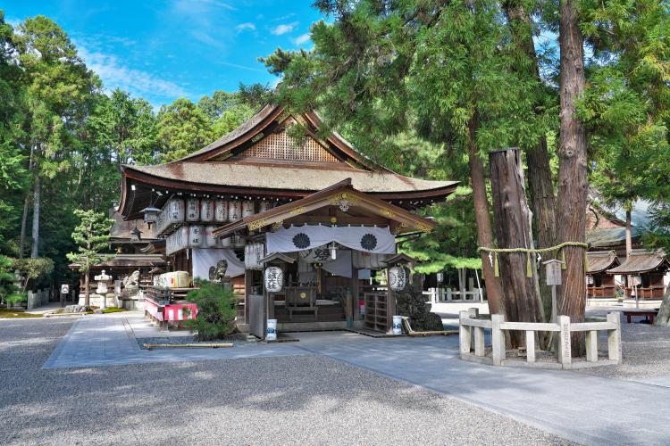 建部大社 ドライブコンサルタント