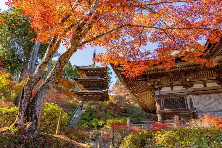 常楽寺(西寺・湖南三山)
