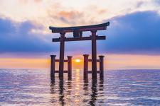 白鬚神社