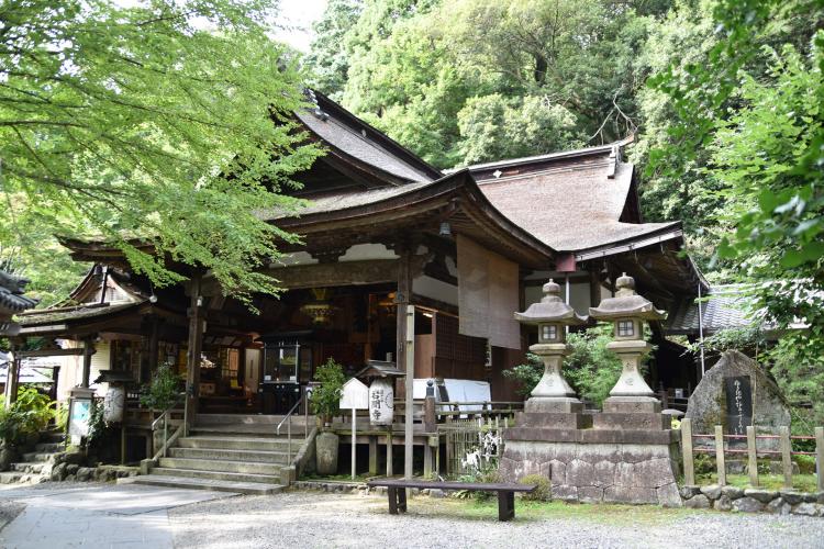 正法寺(藤の寺)