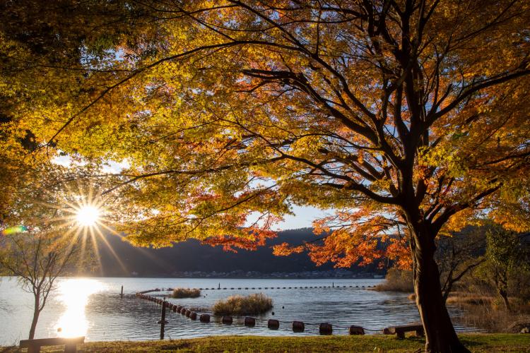 余呉湖 ドライブコンサルタント