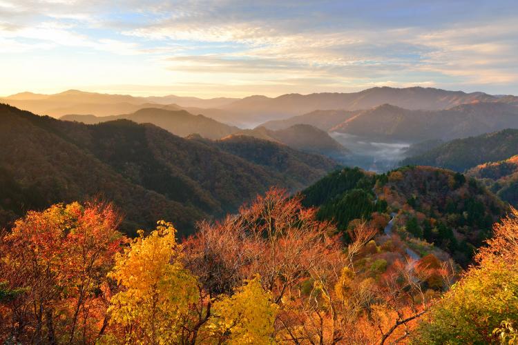 朽木 ドライブコンサルタント