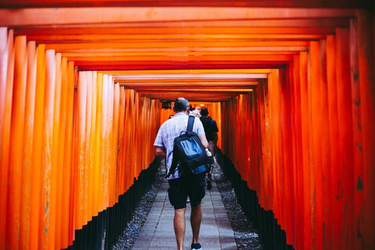 世界遺産 伏見稲荷大社 ドライブコンサルタント 世界遺産 伏見稲荷大社 ドライブコンサルタント