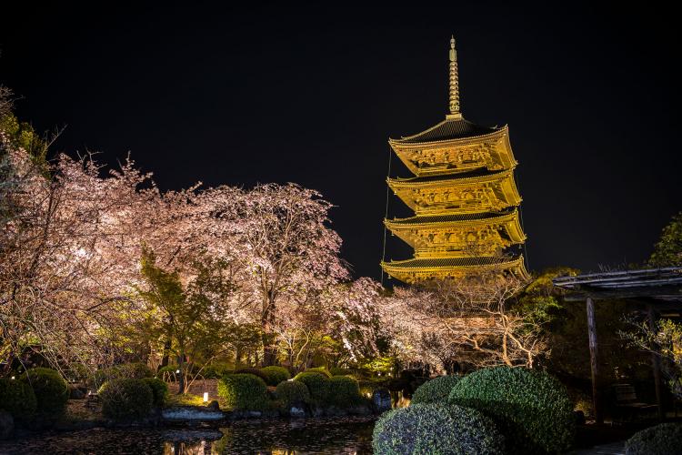 東寺(教王護国寺)