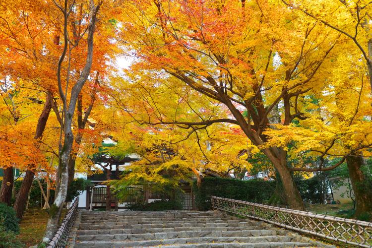 龍安寺