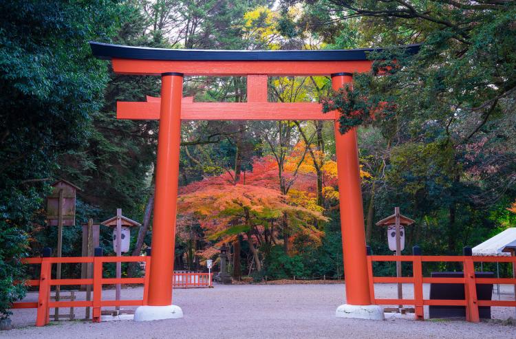 下鴨神社(賀茂御祖神社)