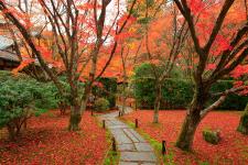 西芳寺（苔寺）
