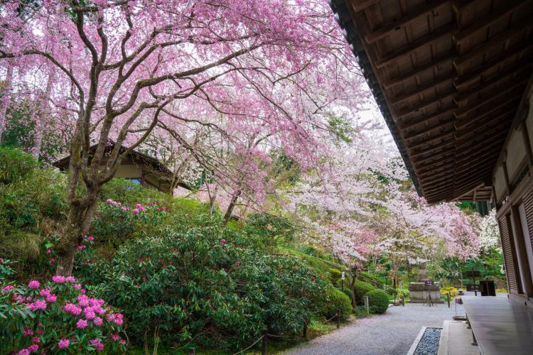 三千院
